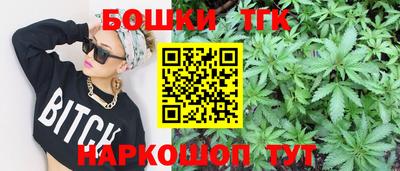 МДПВ Камышлов