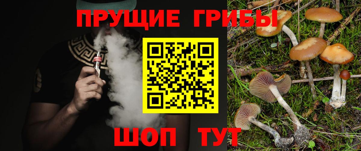 Аксай  Псилоцибиновые грибы Magic Shrooms  Вход с VPN 